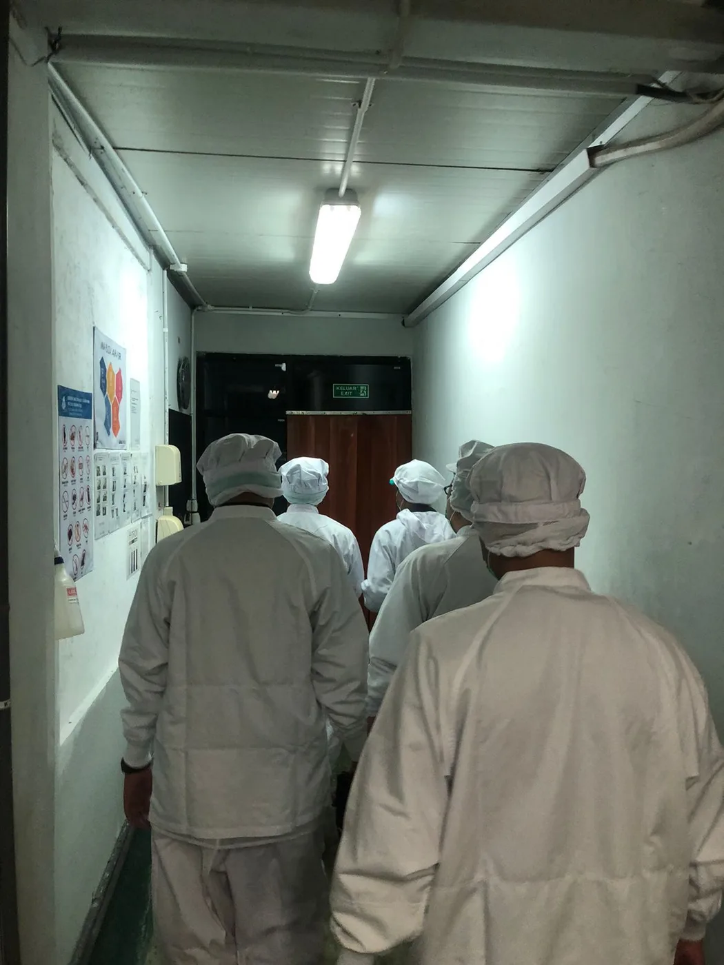 Staff in hygienic coveralls walking through the facility