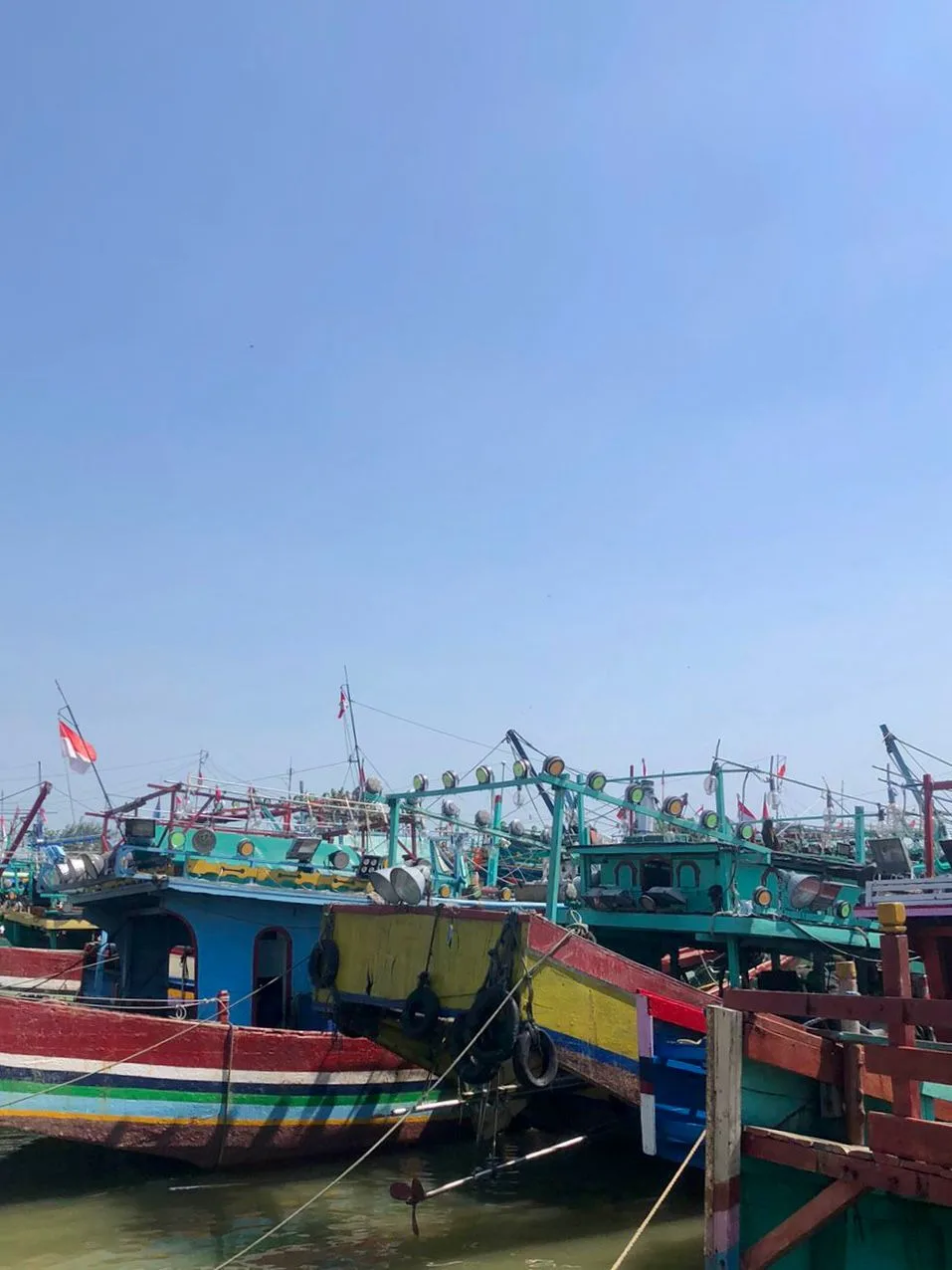 Fishing fleet at our partner harbor