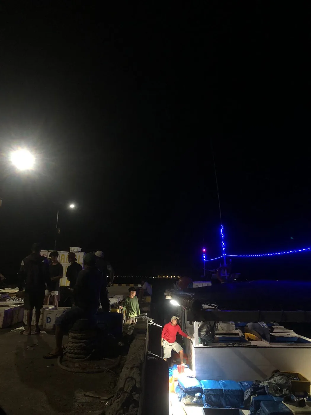 Fresh catch unloaded at the harbor at night