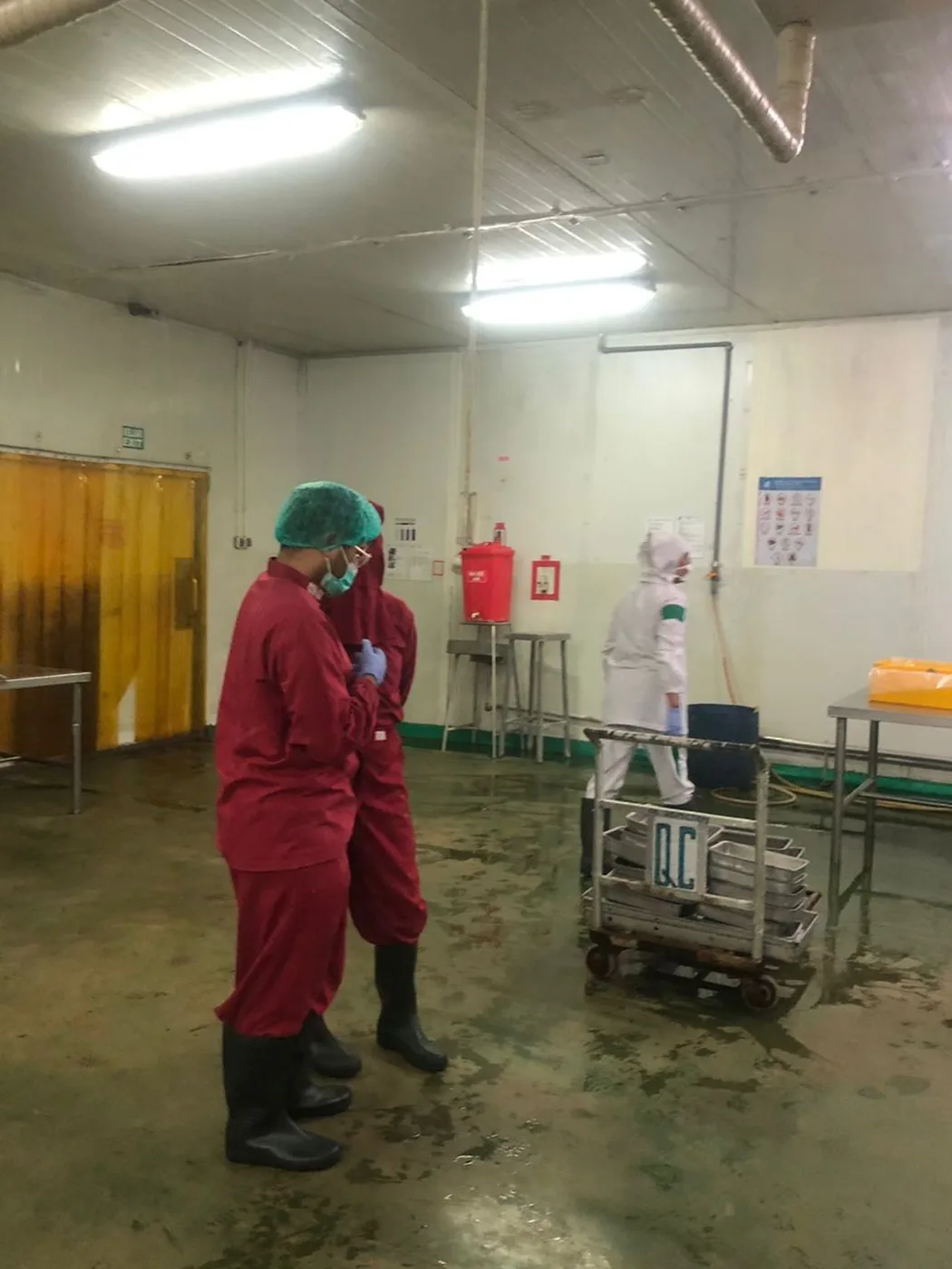 Staff in protective coveralls in the processing room